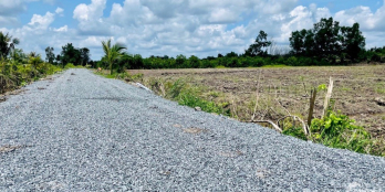 Đất thổ vườn diện tích , vị trí đẹp . 25*79 có 144m2 thổ . Cách TL816 chỉ 300m