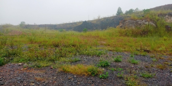 Cần bán gấp đất Lương Sơn Hoà Bình 2150m2 - đường HCM giá chỉ 1tr