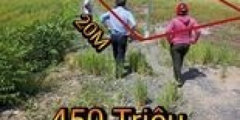 Bán đất lập vườn 20x50 - thị trấn đông thành long an