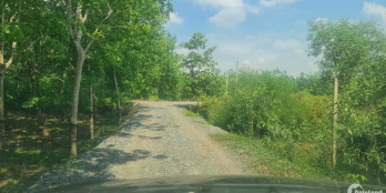 Đất  vườn  An Cơ Châu Thành Tây Ninh