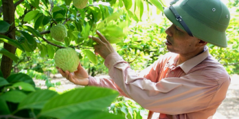 Vườn trái cây có thổ cư sẵn 3182m2 - Chỉ 6.7 tỷ (Phù hợp đầu tư, xây trọ, nhà vư