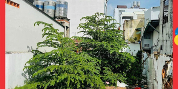 GV. 5x triệu/m2. 175m2 đất thổ cư hẻm xe tải đường Lê Đức Thọ, ngang HIẾM 6M.