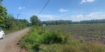 [NGỘP] RA GẤP 4 SÀO ĐẤT (4.000M2 - GIÁ 1,5 TỈ/SÀO) MT ĐƯỜNG NHỰA, ĐIỆN 3PHA