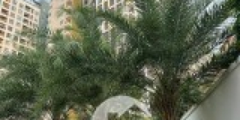 Cho thuê căn hộ 1pn+ 2wc ngay làng đại học quốc gia TP và Tuyến Metro số 1