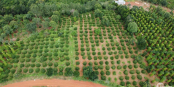 190m mặt đường lớn thông thoáng,ôm chân suối lớn,cách tỉnh lộ chỉ 4km