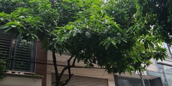 Phố Hoàng Ngân, Cầu Giấy, 68m2, 7 tầng, MT 4.6m, thang máy,ô tô tránh, KD, 16 tỷ