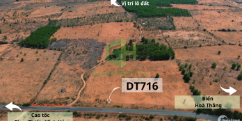 Đất Hòa Thắng SHR 11656.6m2, mặt tiền đường đất, ô tô vào tận nơi, ngay khu farm