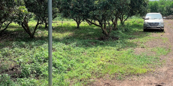 Đất sào mặt tiền đường 24m sẵn sổ, tiện ích ven KCN đầy đủ