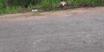 mặt tiền đường dt782, siêu hot tại tây ninh