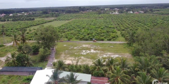 Chủ cần tiền bán gấp lô đất full thổ cư, sổ hồng riêng, công chứng ngay Lộc Ninh