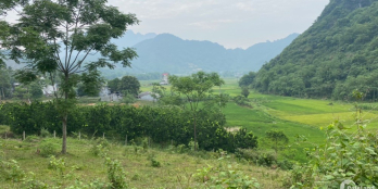 Siêu phẩm view núi đá triệu đô có dt 2707m2 bên cạnh là d/a homestay nghỉ dưỡng