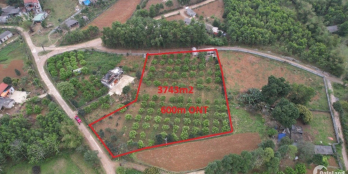 Siêu phẩm 2 mặt tiền ở lương sơn có dt 3669m2 giá chỉ đúng 1tr/m2