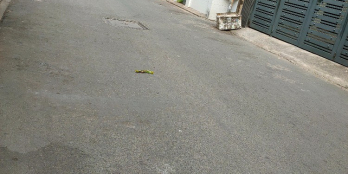 Bán nhà MT10m,HXH8m Đ.Bàu Cát DT210m2_3L chỉ 13tỷ phù đầu tư làm CHDV cho thuê