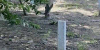 Chính chủ bán trả nợ ngần hàng. 5x50. 50tc.