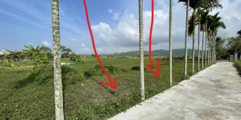 ĐẤT PHÚ HÒA, PHÚ YÊN 500M2, 10x50 CHỈ 800 TRIỆU, ĐƯỜNG BÊ TÔNG TẬN ĐẤT, GIÁ TỐT