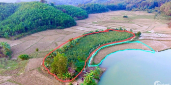 Cần bán lô đất bám hồ có DT 2431m2 bám hồ hơn 60m, view paronama siêu đỉnh