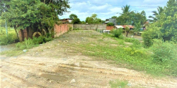 NGỘP BÁN RẺ ĐẤT MT ĐƯỜNG N2 ĐỨC HÒA NHƯ HÌNH 10x30 CHỈ 1.7 TỶ SHR CHỐT GẤP