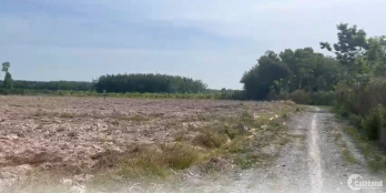 1000m2 đất QH thổ cư mặt tiền đường đá mi, sổ sẵn giá sát sập sàn 240tr