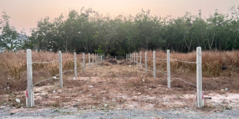 Đất Gò Dầu Liền Kề Khu Công Nghiệp Phước Đông Giá Chỉ 420 Triệu