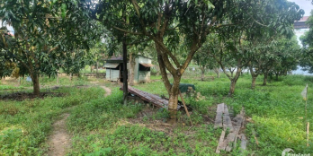 Chính chủ bán lô đất vườn giá rẻ, trung tâm xã Suối Cát, Cam Lâm, Khánh Hoà