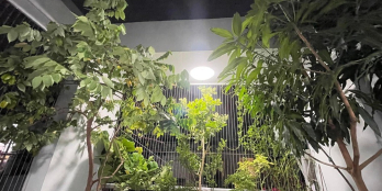 NHÀ ĐẸP CHỢ VẢI PHÚ THỌ HOÀ - TÂN PHÚ