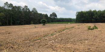 CHỦ BÁN ĐẤT GẦN SÂN BAY LONG THÀNH, 518m2, 3000m2, 1ha SỔ ĐỎ, 3 TRIỆU/M2