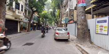 Siêu mẫu mặt phố Lý Nam Đế, DT50m2, MT5m. Vị trí Đắc Địa.