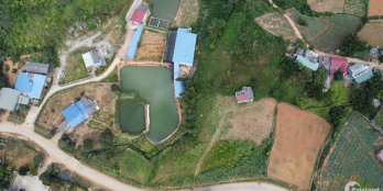 Cần bán mảnh đất 6000m2 ở thị trấn nông trường Mộc Châu