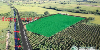 Chủ ngộp giảm 300 triệu lô đất ngay sông Lũy xã Hồng Thái gần cao tốc