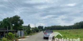 CẦN TIỀN TRẢ NỢ BÁN RẺ [1.300M2 - GIÁ 380TR/SHR] GẦN KCN BECAMEX, SÁT Q.LỘ CHỢ