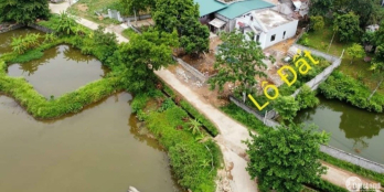 BÁN GẤP LÔ ĐẤT DT 211m2 NẰM VIEW CÁNH ĐỒNG NẰM NGAY TRÊN TRỤC ĐƯỜNG RA KCN NHUẬN