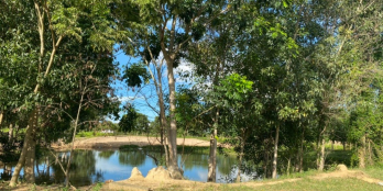 Mua đất tặng vườn điều, sổ sẵn, đường hiện hữu, vuông vức siêu đẹp xã Hồng Liêm