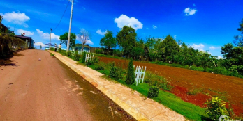 Kẹt tiền bán lô đất SHR Lộc Ngãi view đồi núi cực đẹp chỉ 590 triệu