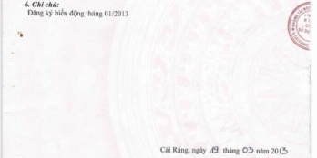 Nhà Trọ 8 Phòng - Thu Nhập 12 Triệu - Gần Đại Học Tây Đô - Mua Nhà Sinh Lời Ngay