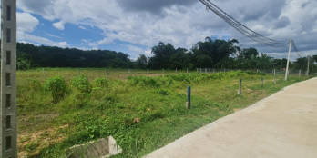 đất nền giá rẻ cây da hiệp thạnh gò dầu tây ninh