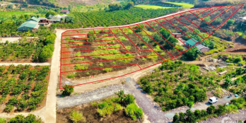 Chính chủ bán đất ven Tp.Đà Lạt 250m  với Giá 840tr (thổ cư 176m)