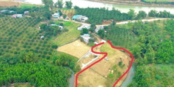 SIÊU PHẨM BÁM SUỐI CÓ DT HƠN 3000m2 TRONG ĐÓ CÓ 1000m2 THỔ CƯ VIEW ĐẸP TRIỆU ĐÔ