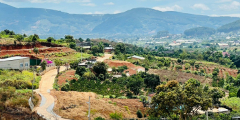 Đất thị trấn 5p tới chợ, 2p tới nhựa, sẵn 246m2 thổ cư. Có điện nước, đường oto