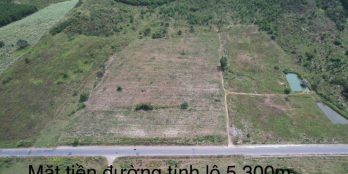 Bán 8,3 ha lô góc mặt tiền đường TL5 Ninh Hòa - Gần cụm quy hoạch KCN