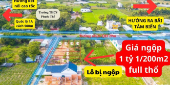 Đất biển Bình Thuận giá đầu tư giá chỉ 1.3 tỷ đồng năm 2023
