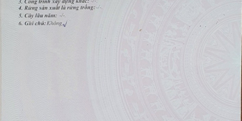 Chỉ 3,6 tỷ có nhà 17m2 hẻm xe hơi 6m Tôn Đức Thắng, P. Bến Nghé, Quận 1