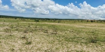 Bán 2100m2 đất gần Quốc lộ 1A giá 265 triệu, SHR, bao mọi chi phí