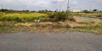 Đất ngộp bán rẻ lô đất TT Cần Đước 145m2