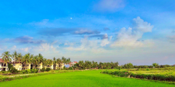 Bán đất View Lúa + View Sông Cẩm Châu - Hội An. Giá tốt nhất thị trườn