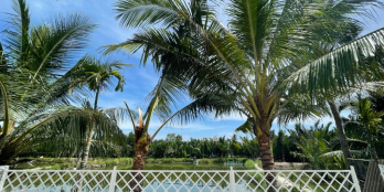 Bán nhà View Hồ tại Cẩm Thanh -  Hội An.