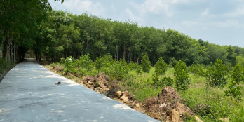 Bán Đất Định Quán Xã Suối Nho Đường Bê Tông 4m Giá 530 triệu