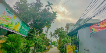 Đất gần chợ Miếu Bông chỉ hơn 1ty gần QL1A DTICH 121m2 ngang 6,24m