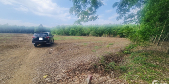 XEM LÀ ƯNG NGAY 3330m2 ĐẤT VƯỜN - SỔ HỒNG RIÊNG GIÁ RẺ BÈO - CHÂU THÀNH TÂY NINH