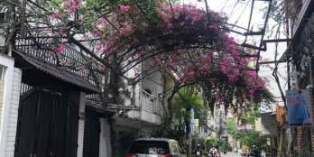 Hẻm xe tải, Bình Thạnh, Ung Văn Khiêm, P25, 66m2, 3 tầng, nhỉnh 10 tỷ