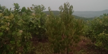 Đất 1000m2. 190tr, gần  trung tâm xã.